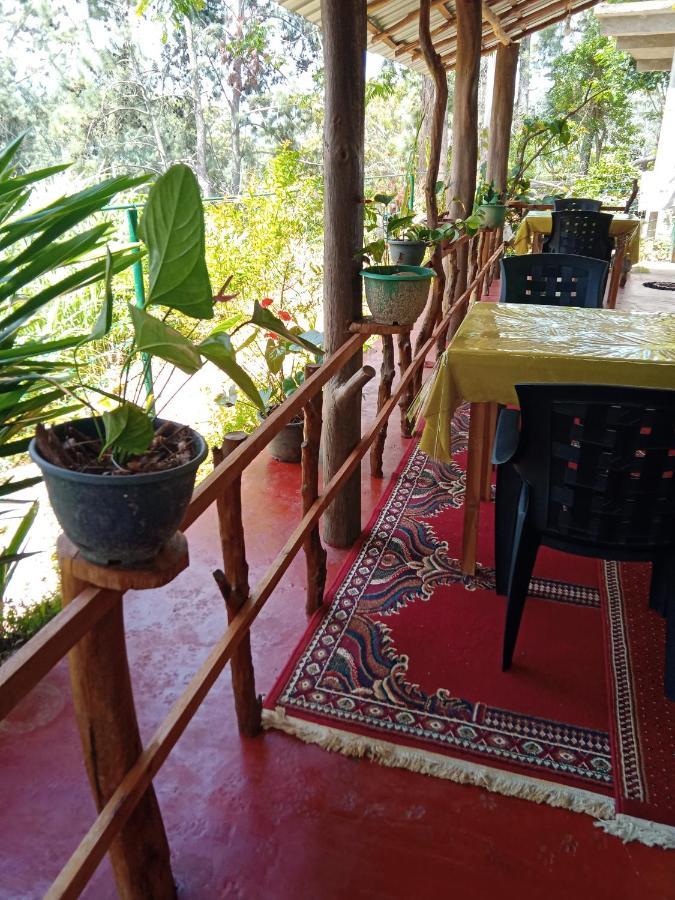 New Rose Villa Bandarawela Ella Eksteriør bilde