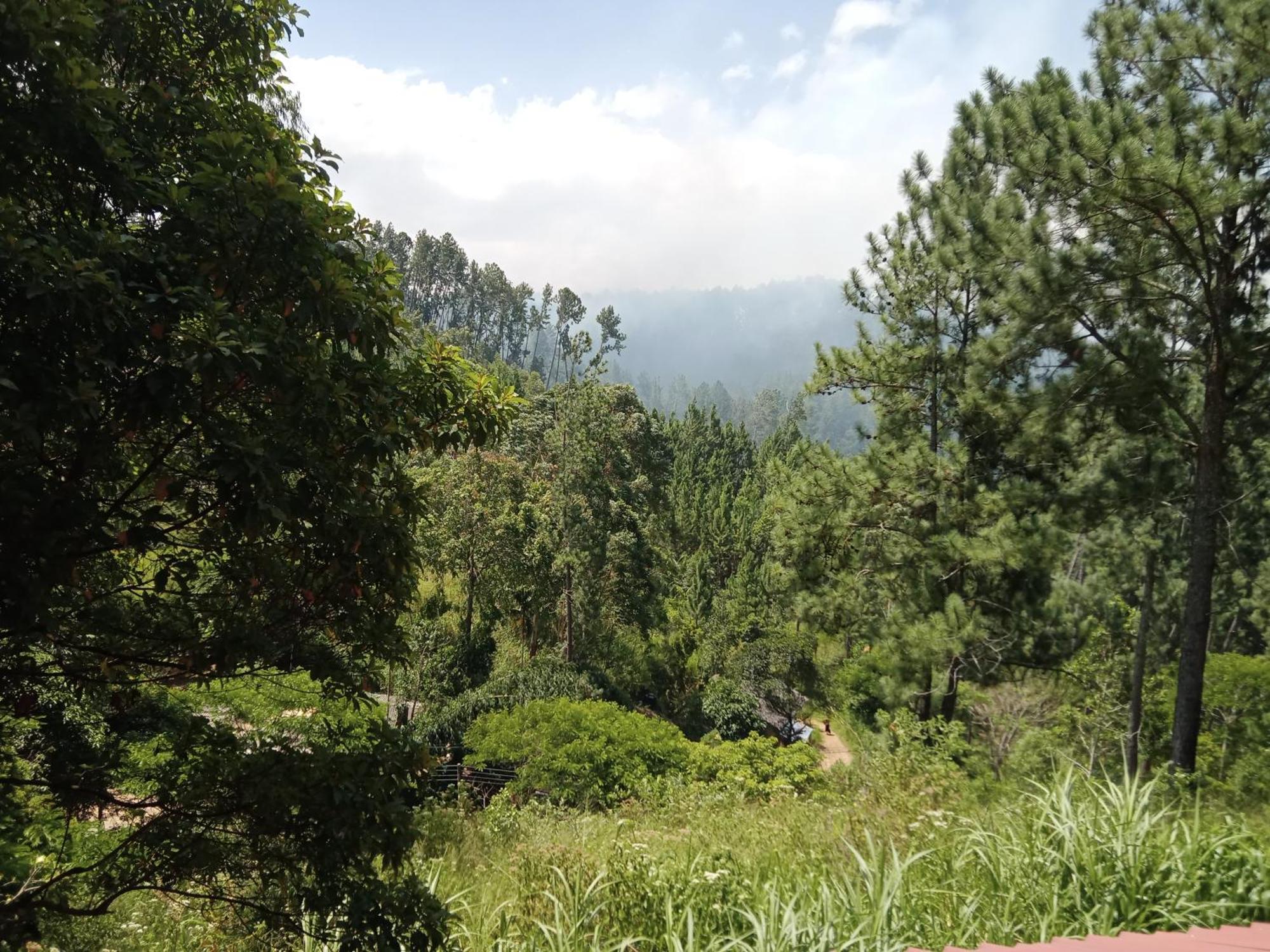 New Rose Villa Bandarawela Ella Eksteriør bilde