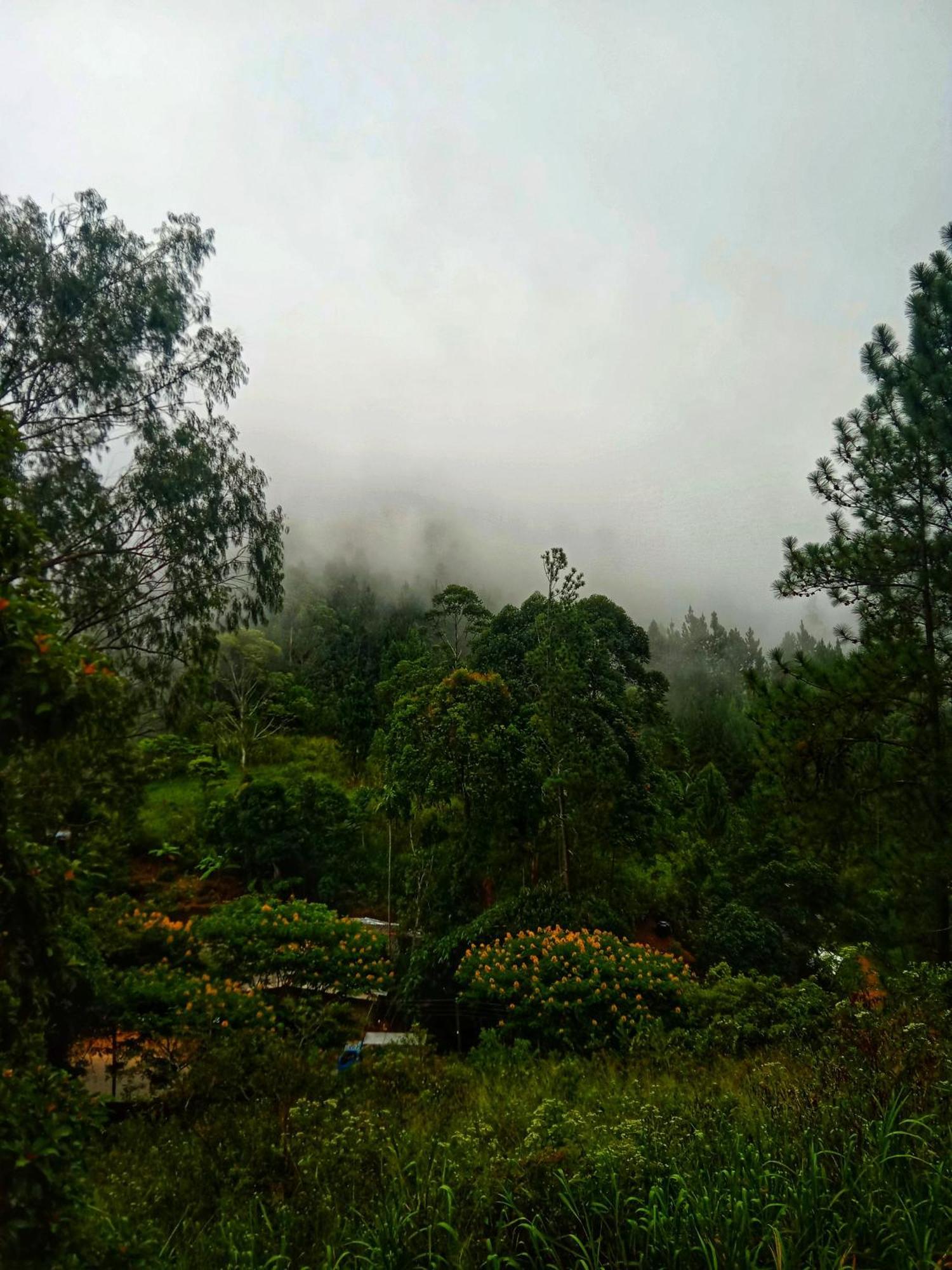New Rose Villa Bandarawela Ella Eksteriør bilde