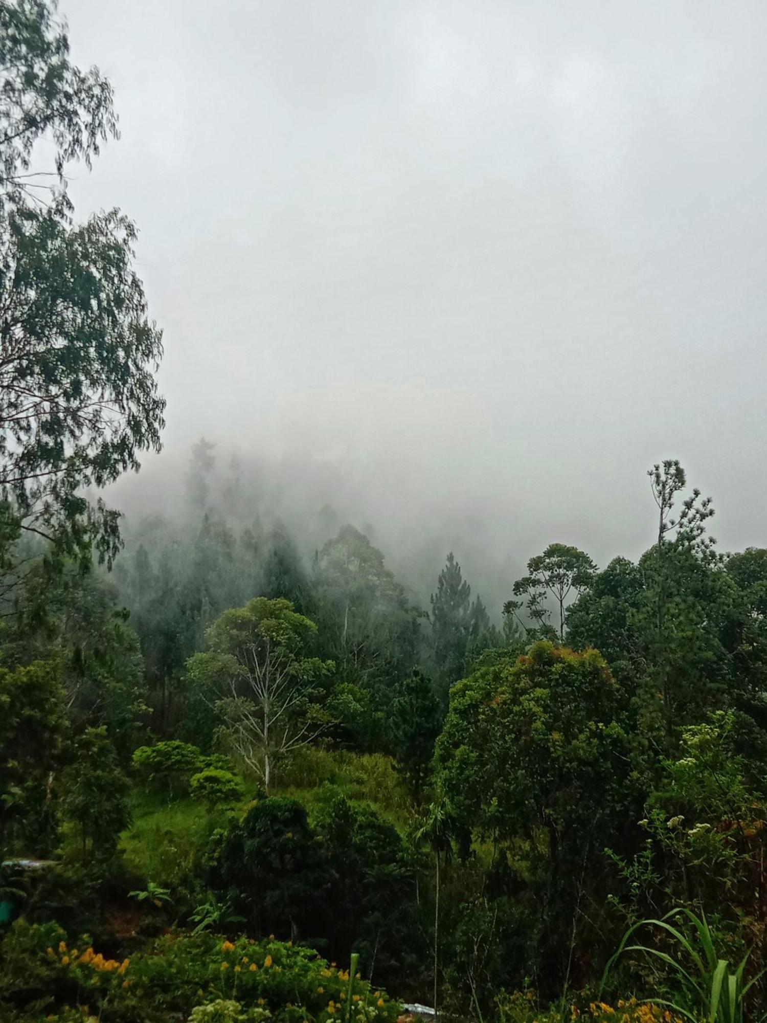 New Rose Villa Bandarawela Ella Eksteriør bilde