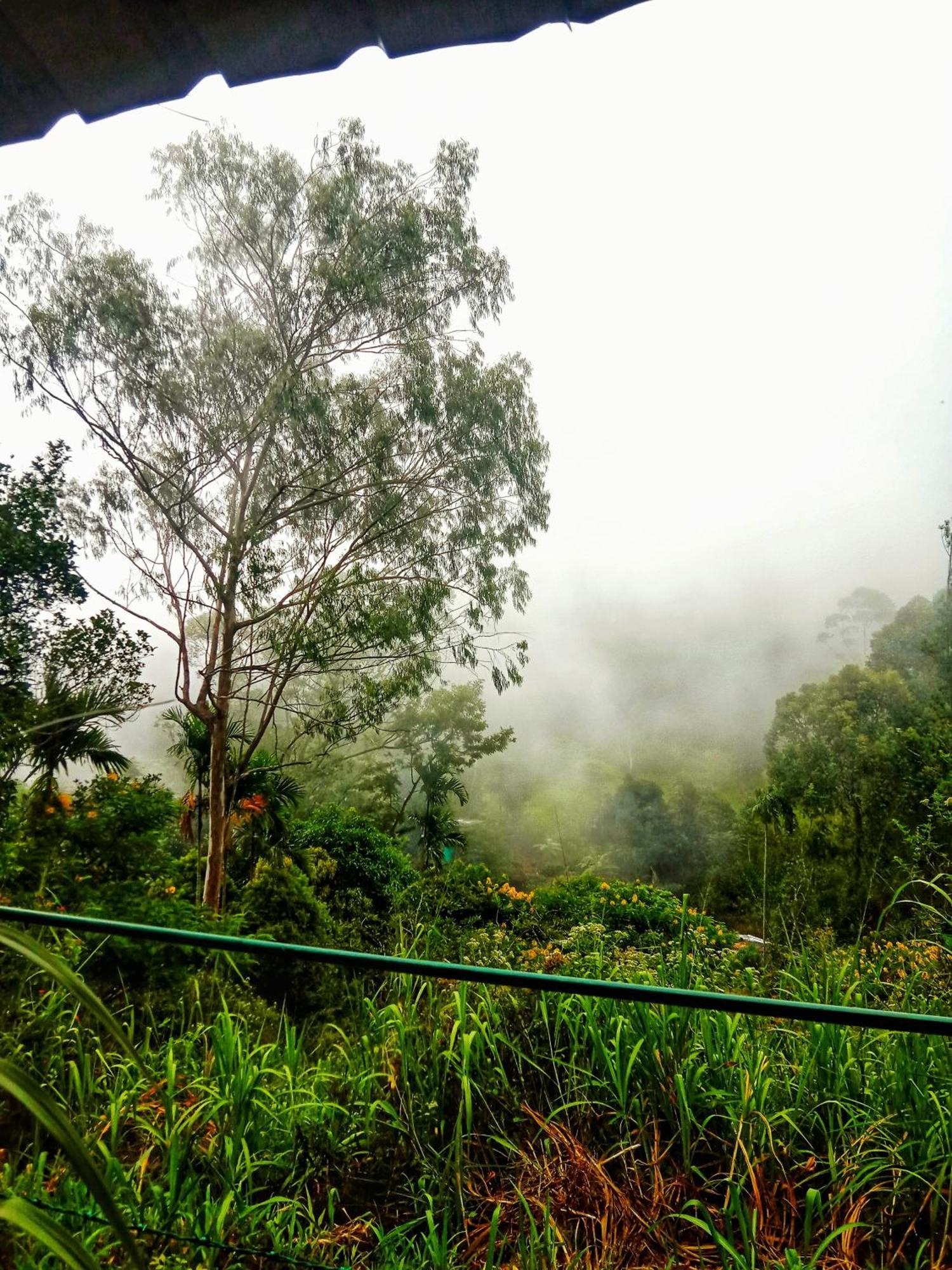 New Rose Villa Bandarawela Ella Eksteriør bilde