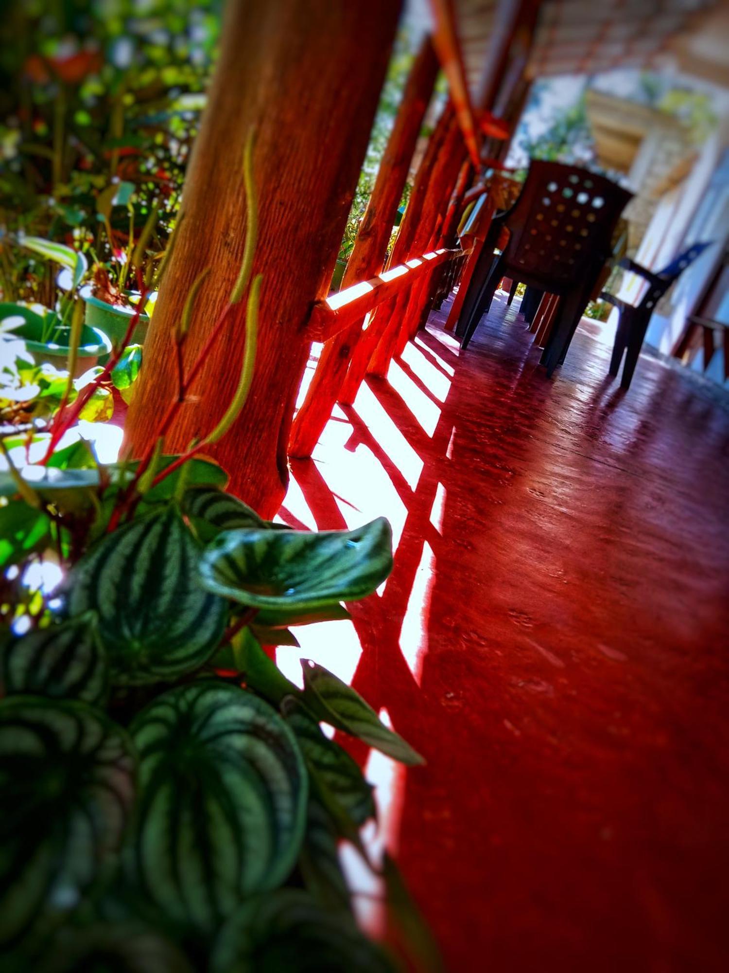 New Rose Villa Bandarawela Ella Eksteriør bilde