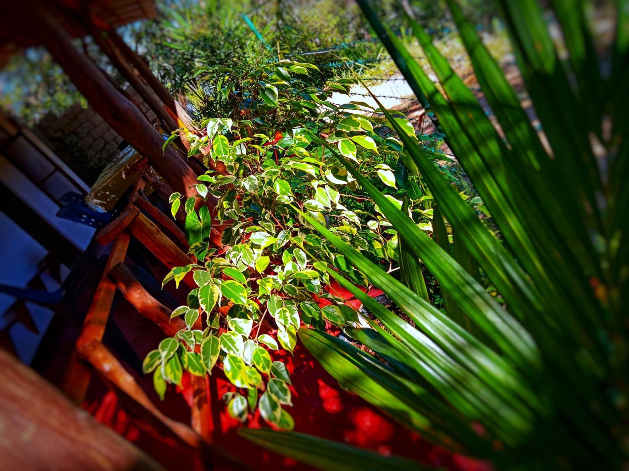New Rose Villa Bandarawela Ella Eksteriør bilde