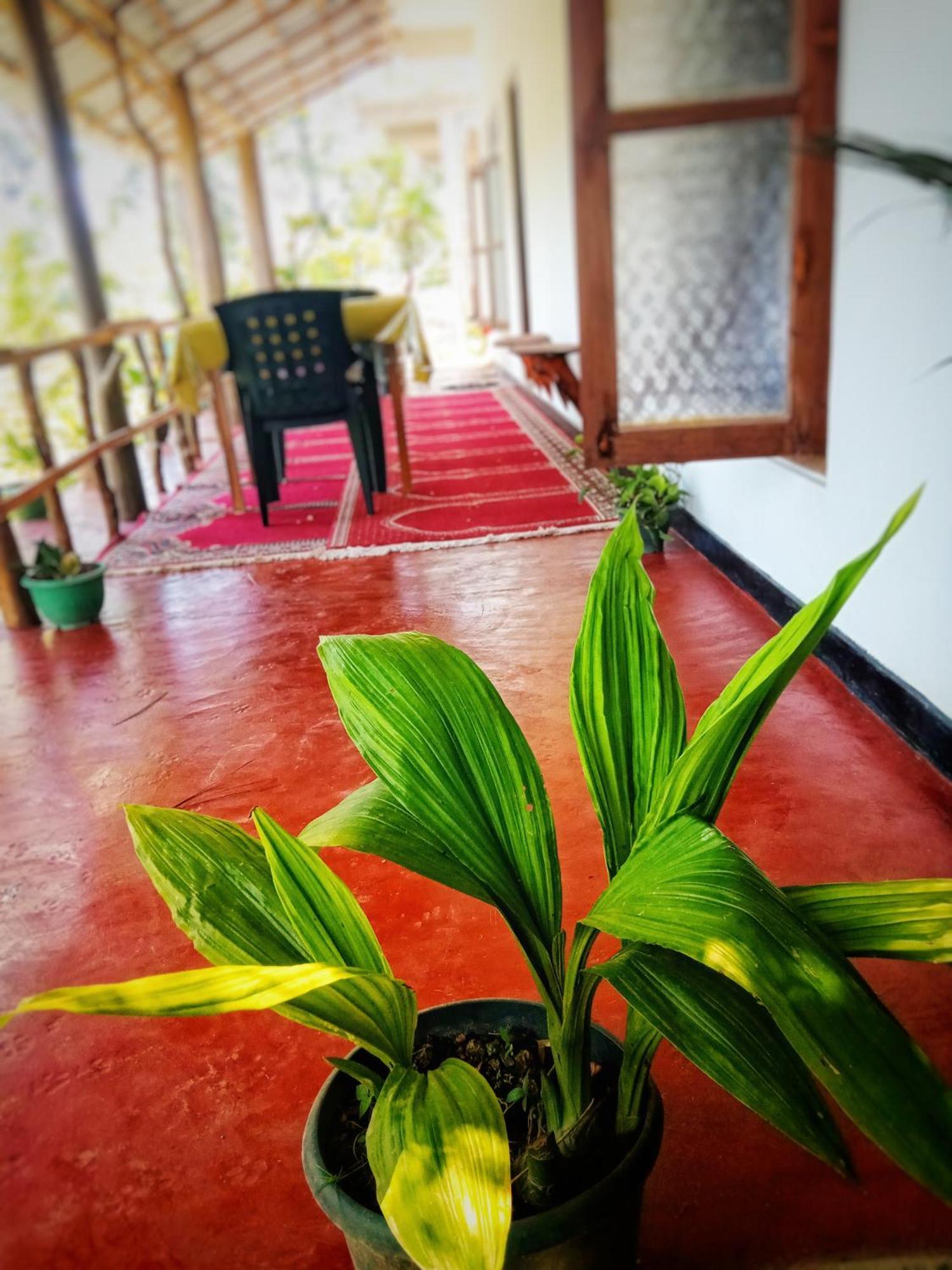 New Rose Villa Bandarawela Ella Eksteriør bilde