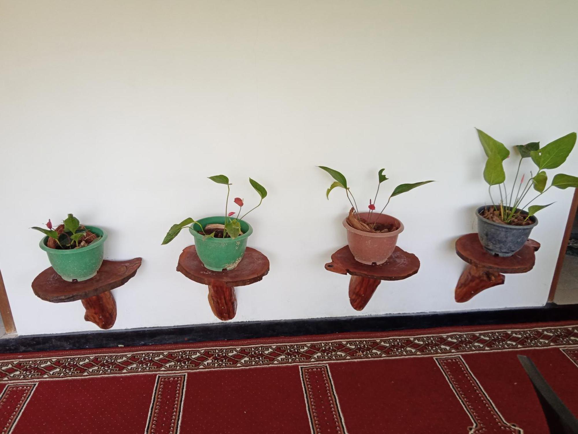 New Rose Villa Bandarawela Ella Eksteriør bilde