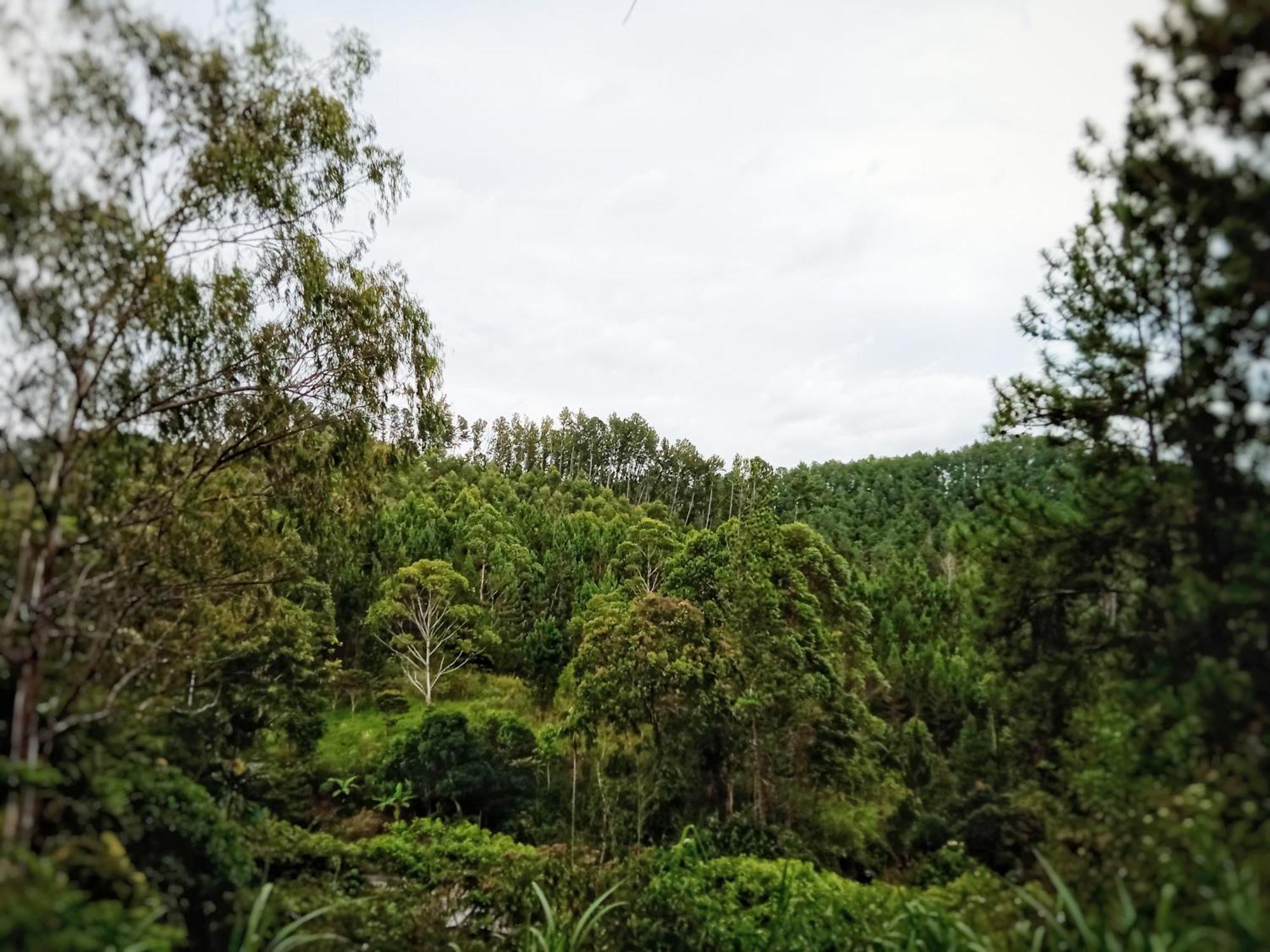 New Rose Villa Bandarawela Ella Eksteriør bilde