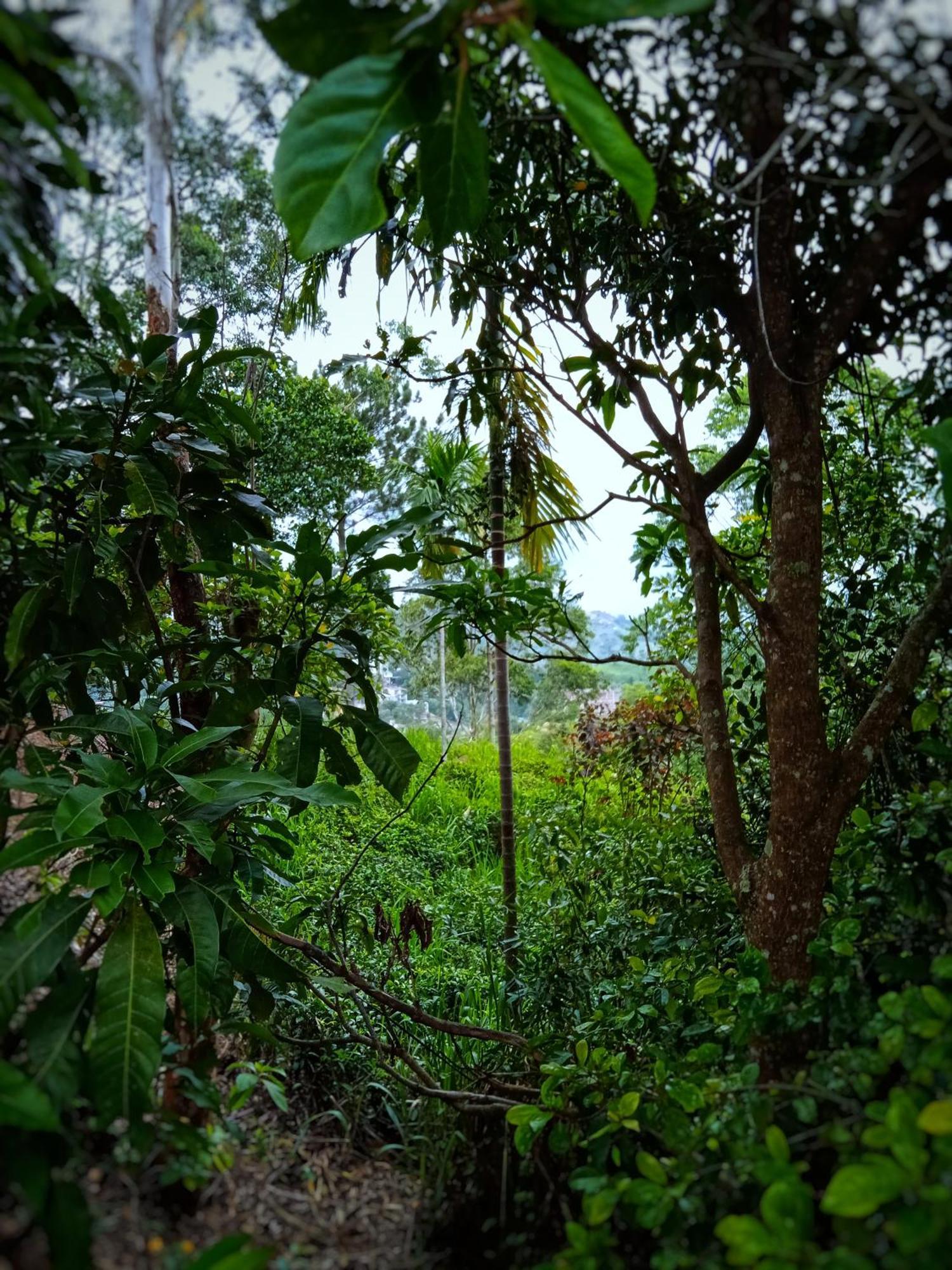 New Rose Villa Bandarawela Ella Eksteriør bilde