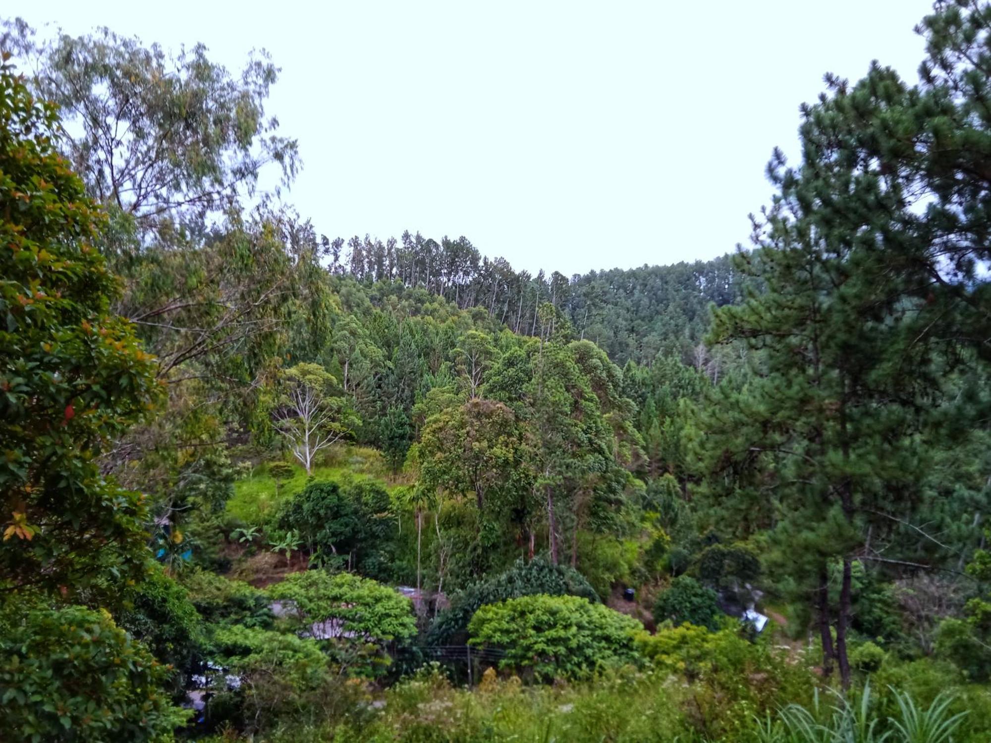 New Rose Villa Bandarawela Ella Eksteriør bilde
