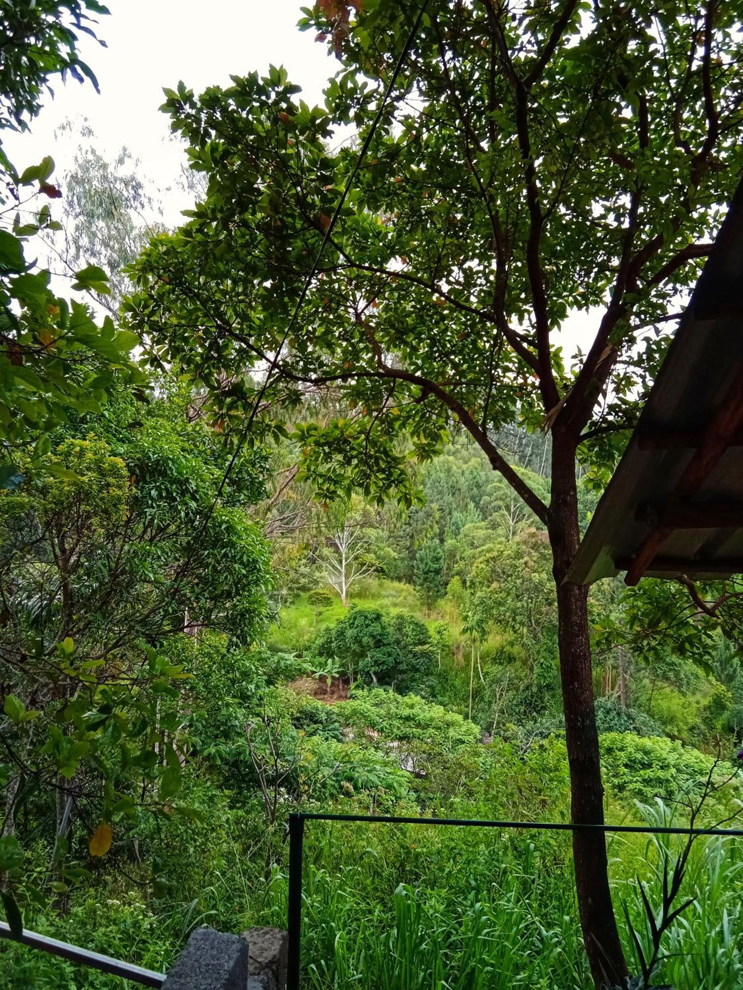 New Rose Villa Bandarawela Ella Eksteriør bilde