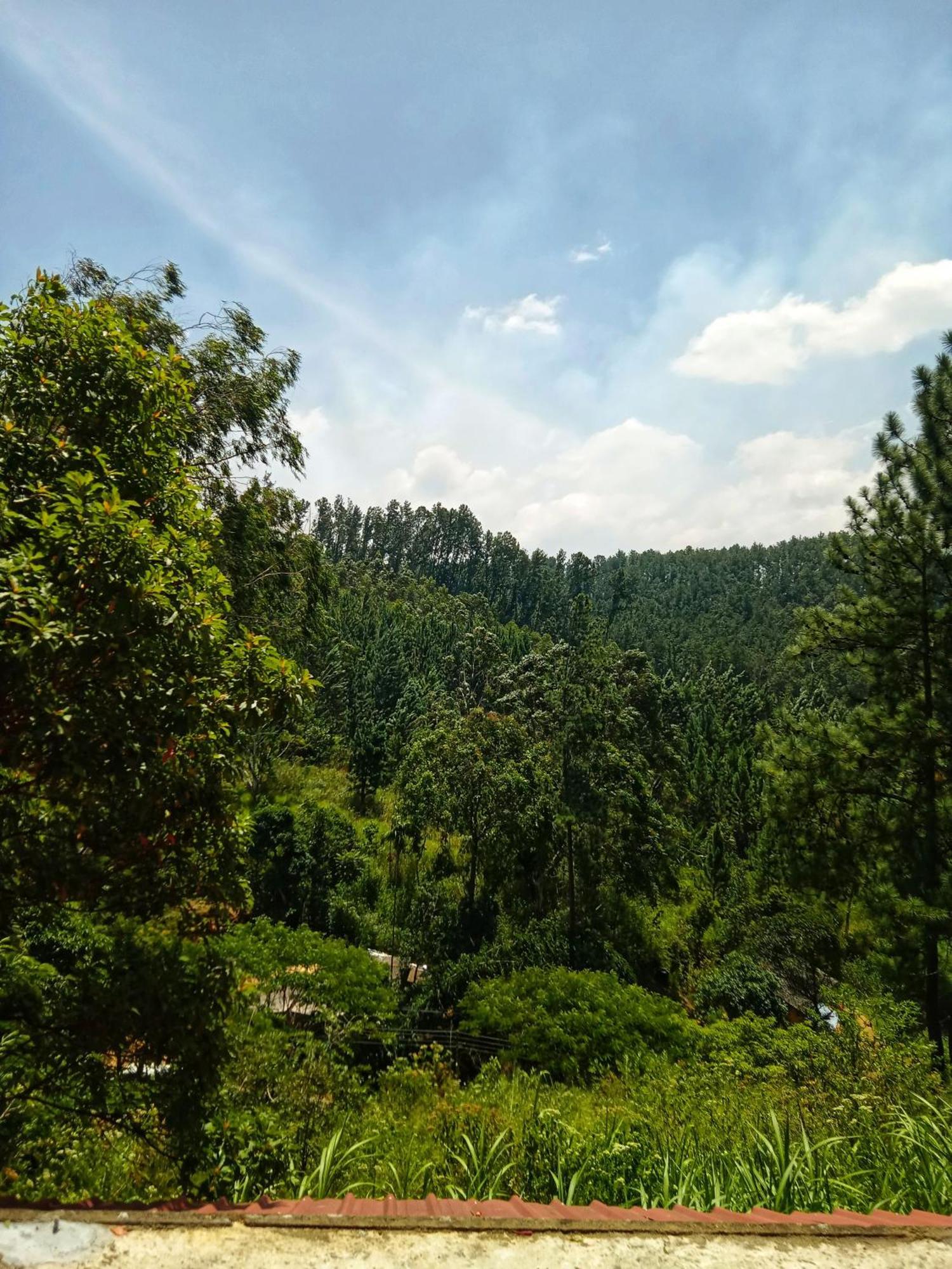 New Rose Villa Bandarawela Ella Eksteriør bilde